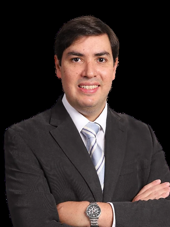 LUIZ HENRIQUE DE ANDRADE ARAUJO